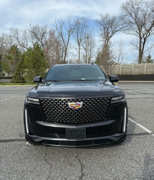 WhatsApp Image 2025-04-05 at 02.11.13_a76a8f40